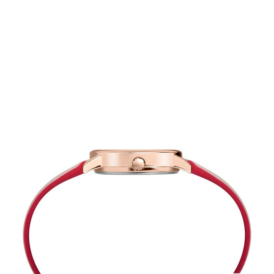 Timex Easy Reader para Mujer 30 mm – TW2R62800
