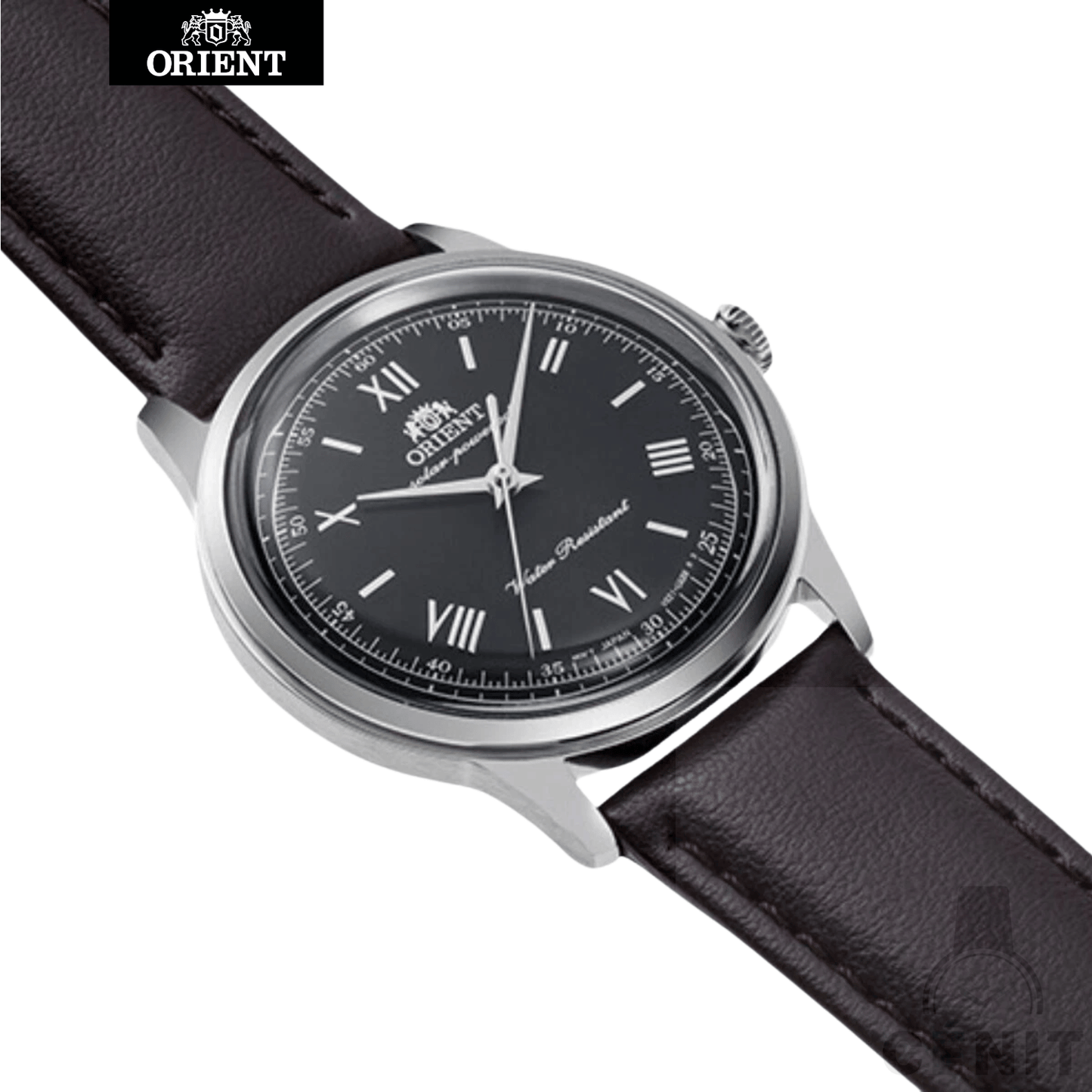 Orient Bambino 38MM Pulsera de Cuero Café Oscuro RA-WK0004L