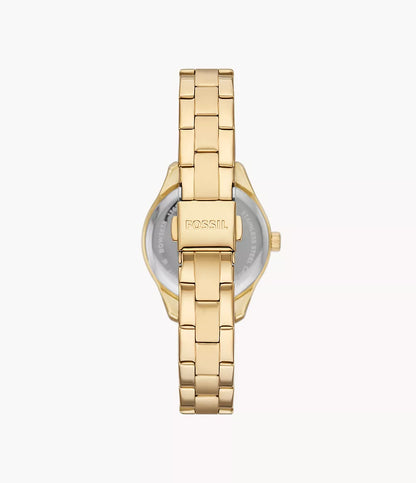 Fossil Rye de dama correa de metal 30 mm – BQ3638