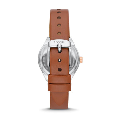 Fossil Eevie de dama banda de piel 30 mm – BQ3803