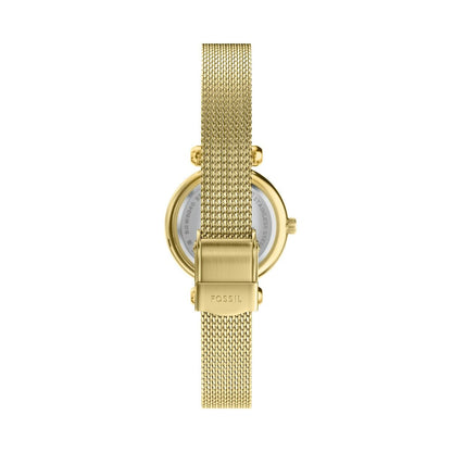 Fossil Tillie Mini de dama correa mesh – BQW8040