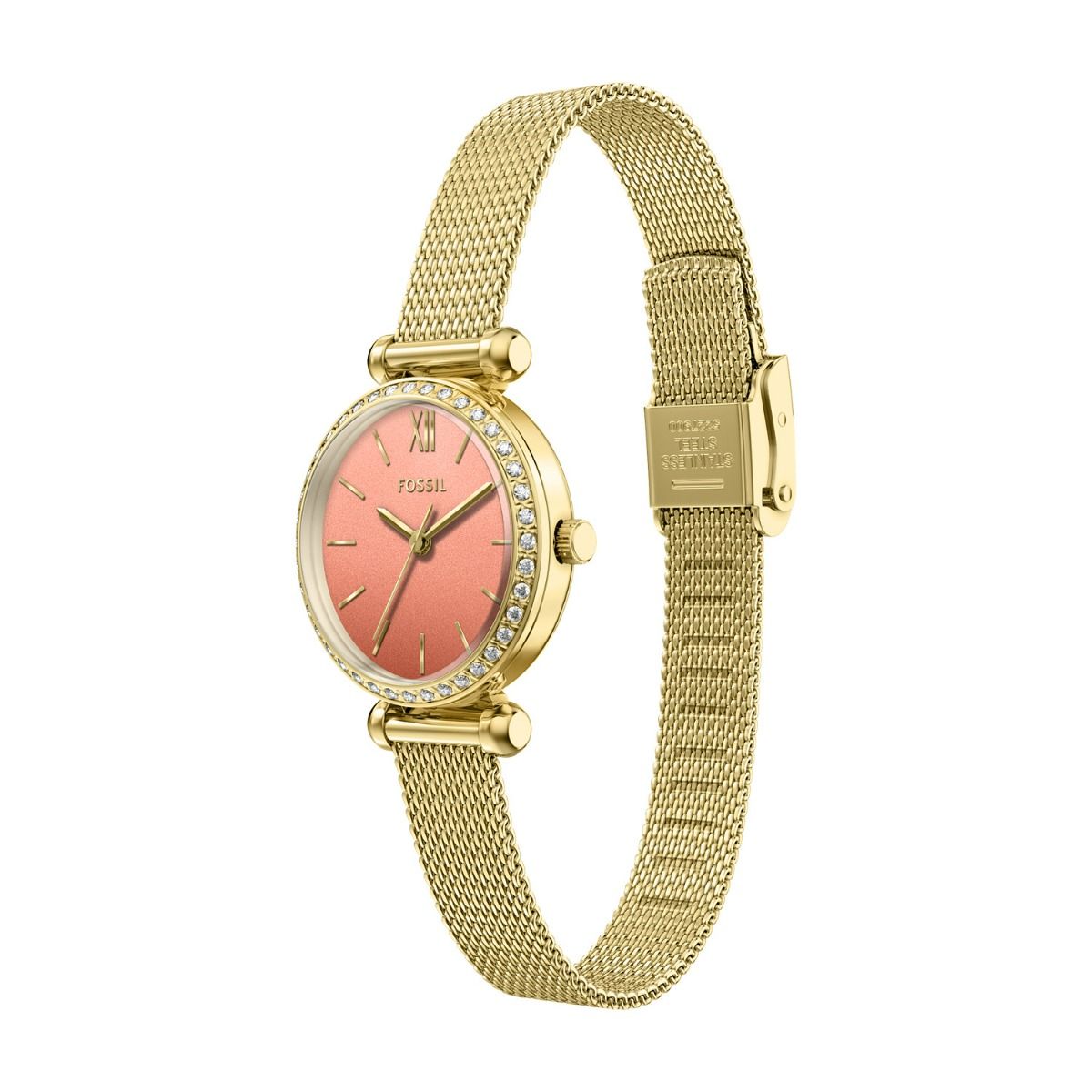 Fossil Tillie Mini de dama correa mesh – BQW8040