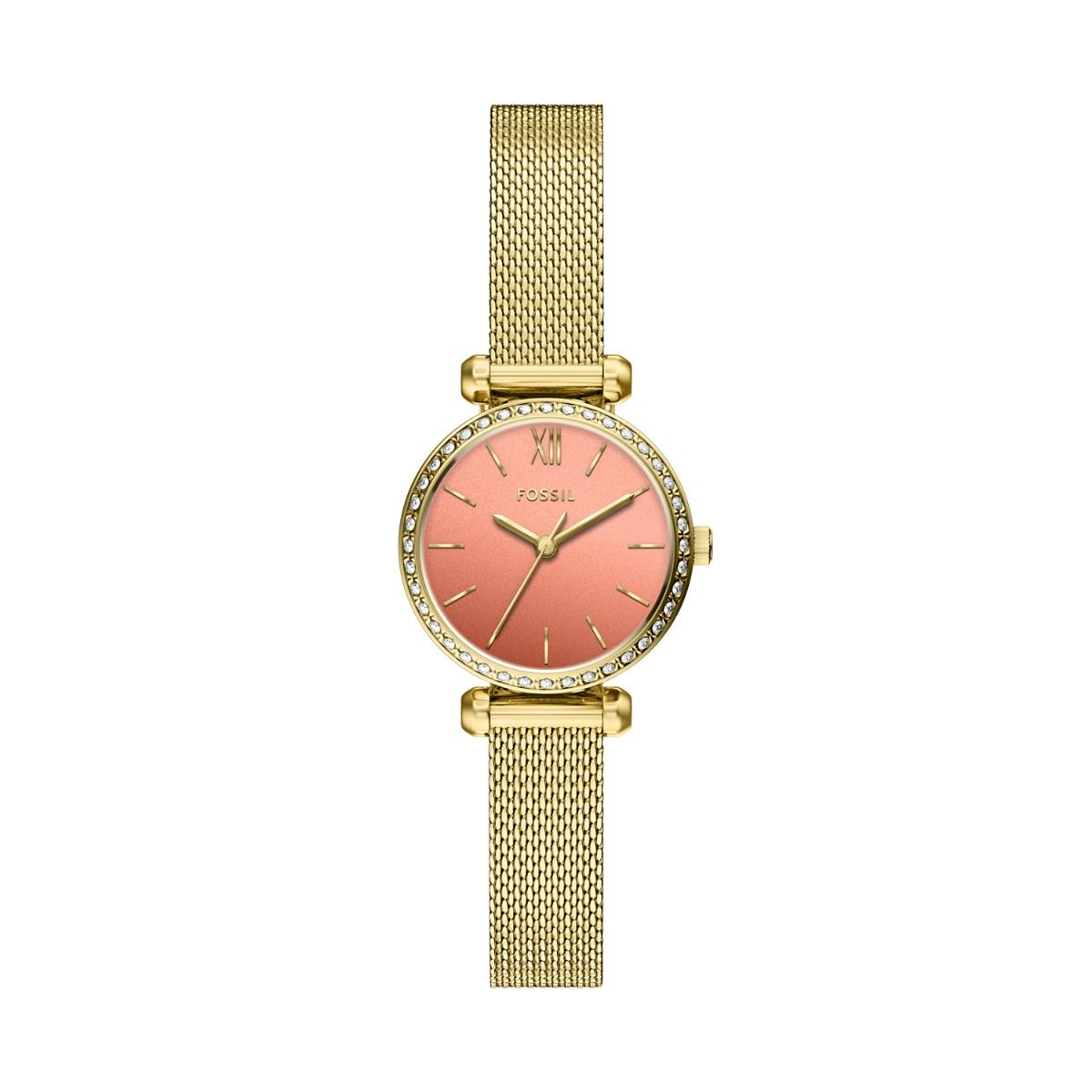 Fossil Tillie Mini de dama correa mesh – BQW8040