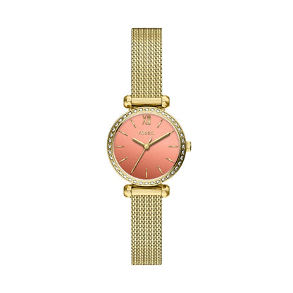 Fossil Tillie Mini de dama correa mesh – BQW8040
