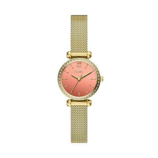 Fossil Tillie Mini de dama correa mesh – BQW8040