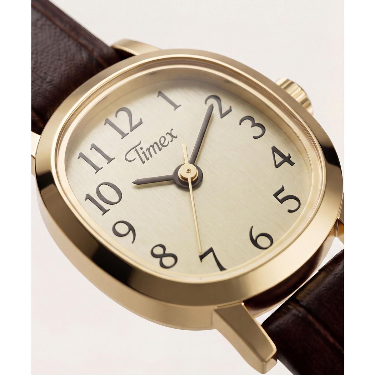 Timex Cavatina Mini de dama banda de piel – TW2Y87700