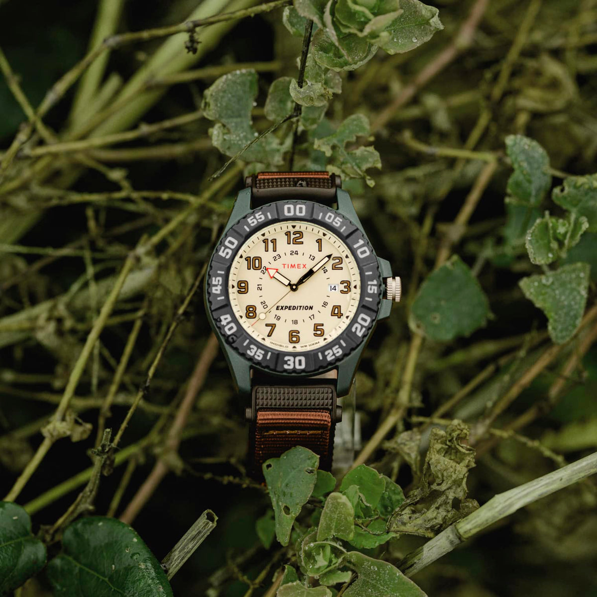 Timex Expedition Acadia Rugged para Hombre  42mm – TW4B26500