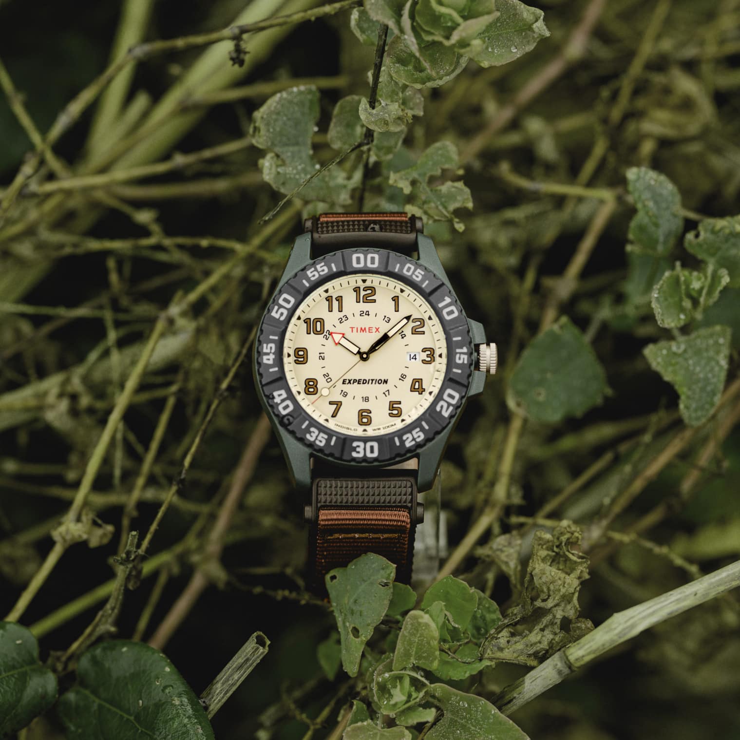 Timex Expedition Acadia Rugged para Hombre  42mm – TW4B26500